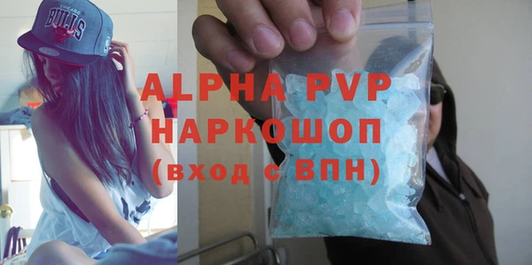 индика Верея
