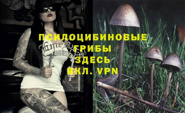 индика Верея