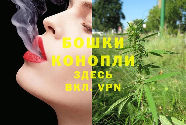 индика Верея