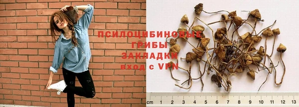спиды Верхний Тагил