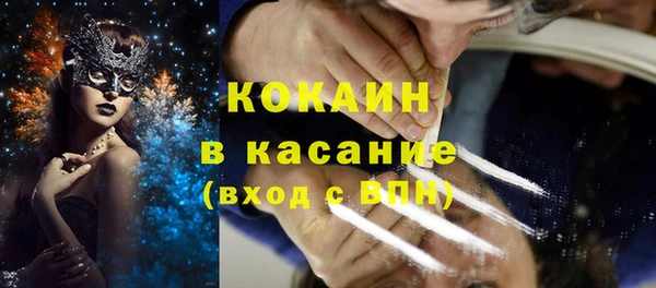 индика Верея