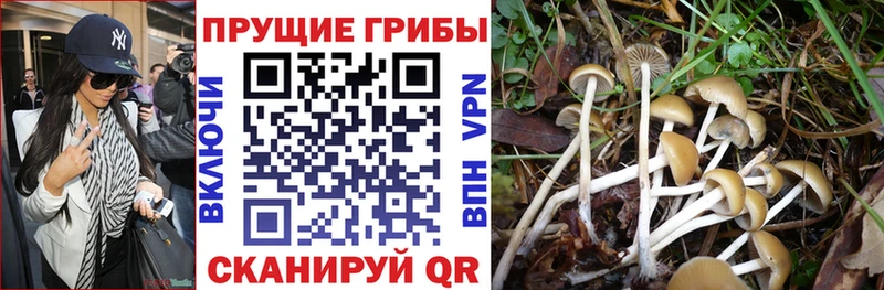 Псилоцибиновые грибы ЛСД  Улан-Удэ 